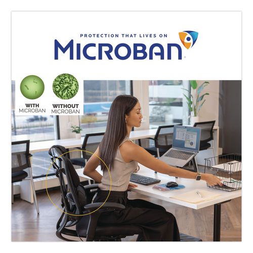 Image of Fellowes® 8037601 Professional Series Back Support With Microban Protection, 15 X 2 X 14.5, Black