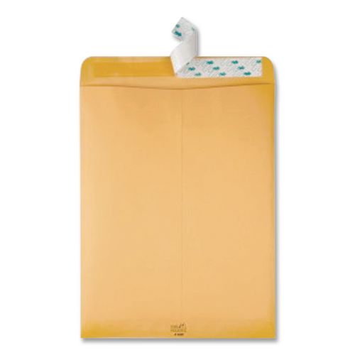 Image of Quality Park High Bulk Redi-Strip Catalog Envelope, #13 1/2, Cheese Blade Flap, Redi-Strip Adhesive Closure, 10 x 13, Brown Kraft, 250/CT