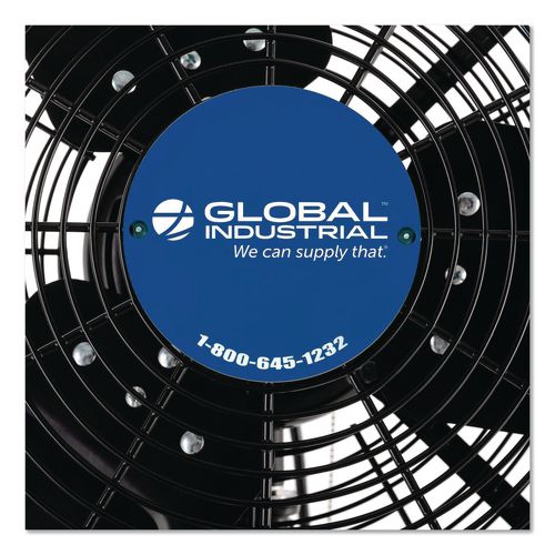 Image of Global Industrial® 292451 2 Speed Oscillating Outdoor Rated Wall Mount Fan, 30", Black
