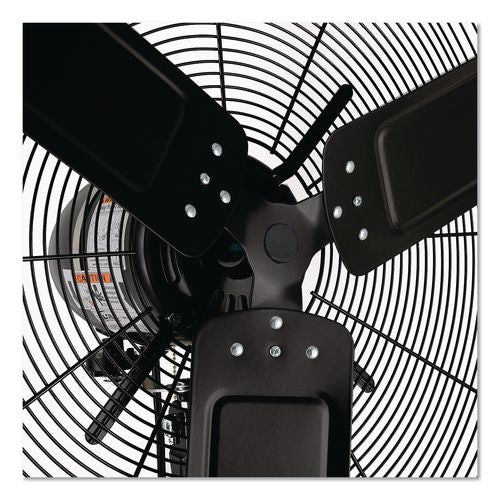 Image of Global Industrial® 292451 2 Speed Oscillating Outdoor Rated Wall Mount Fan, 30", Black
