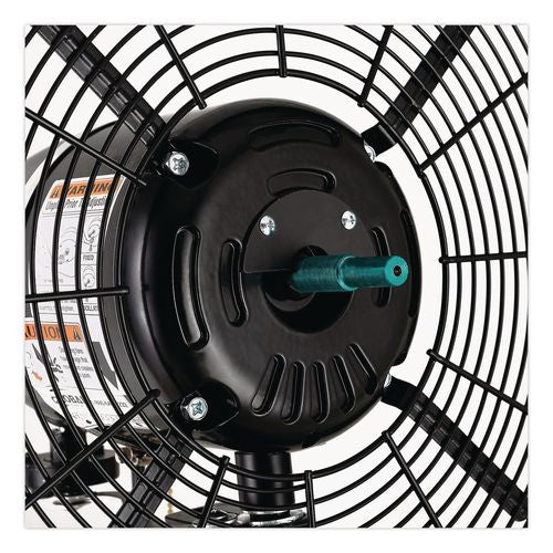 Image of Global Industrial® 292451 2 Speed Oscillating Outdoor Rated Wall Mount Fan, 30", Black