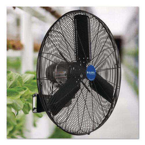 Image of Global Industrial® 292451 2 Speed Oscillating Outdoor Rated Wall Mount Fan, 30", Black
