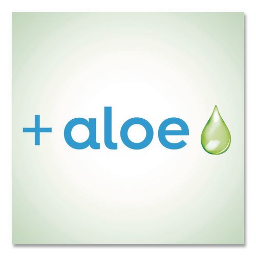 Image of Dial® Professional DIA35446EA Original Antibacterial Defense Foaming Hand Wash, Original Scent, 10 oz Pump Bottle