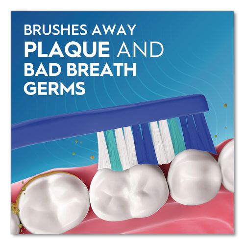 Image of Oral-B® 80787372 Essential Clean Toothbrush, Unscented, Blue/White, 72/Carton