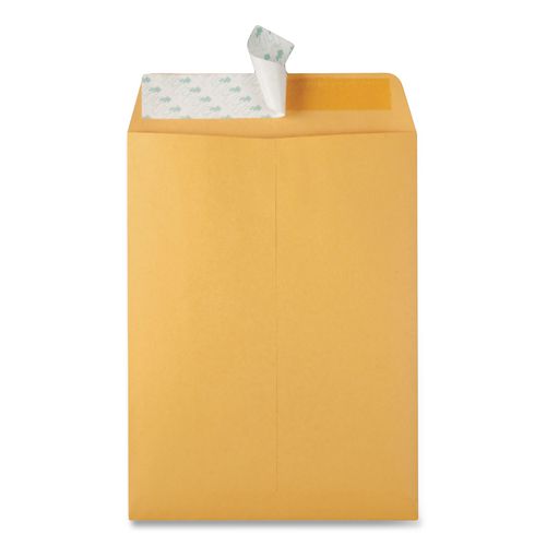 Image of Quality Park QUA44562 Redi-Strip Catalog Envelope, #10 1/2, Cheese Blade Flap, Redi-Strip Adhesive Closure, 9 x 12, Brown Kraft, 100/Box