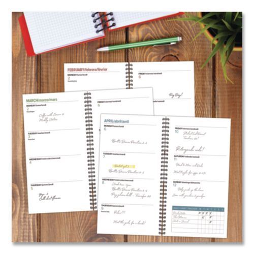 Image of Willow Creek Press 57322 Celestial Softcover Weekly/Monthly Spiral Planner, 6.5 x 3.5, Black/Gold Cover, 12-Month (Jan to Dec): 2026