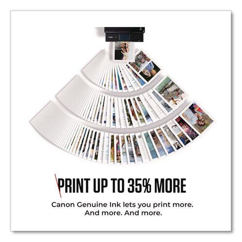 Image of Canon® 8278B001 8278b001 (pg-245xl) Chromalife100+ High-Yield Ink, 300 Page-Yield, Black