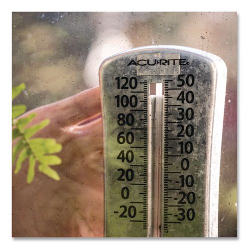 Image of T-REX® 285338 Strong Mounting Tape, Permanent, Holds Up to 0.5 lb/1 sq in, 1" x 60", Clear