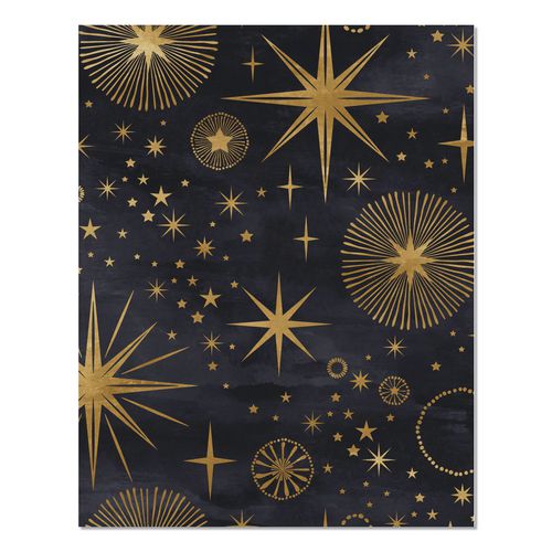 Image of Willow Creek Press 57582 Starry Night Monthly Planner, 9.5 7.5, Black/Gold Cover, 12-Month (Jan to Dec): 2026