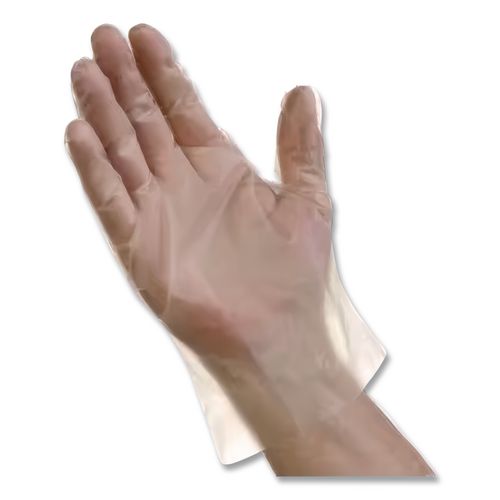 Image of AMBITEX® EFLG2000 EconoFit Plus Polyethylene Gloves, Powder-Free, Large, Clear, 200/Box, 10 Boxes/Carton