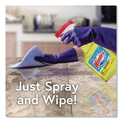Image of Windex® 322369 Multi-Surface Disinfectant Cleaner, Citrus Scent, 32 oz Spray Bottle