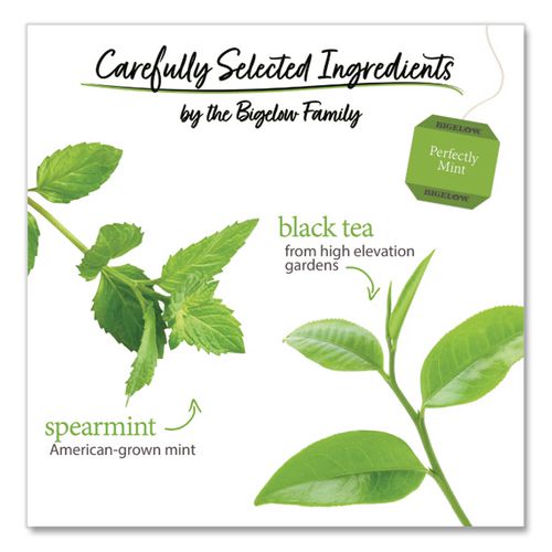 Image of Bigelow® RCB003441 Perfectly Mint Black Tea, 28/Box