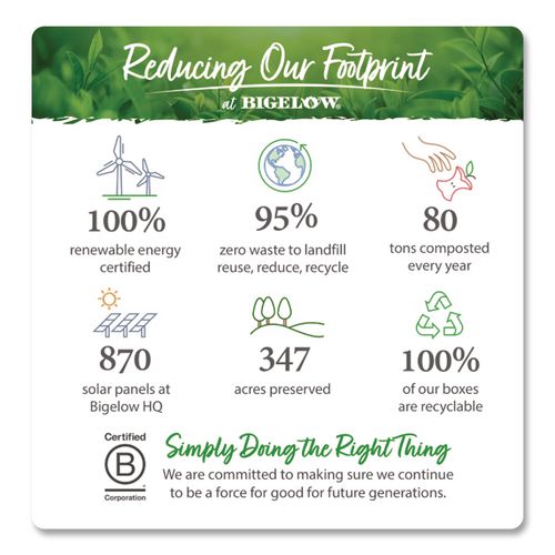 Image of Bigelow® RCB003441 Perfectly Mint Black Tea, 28/Box