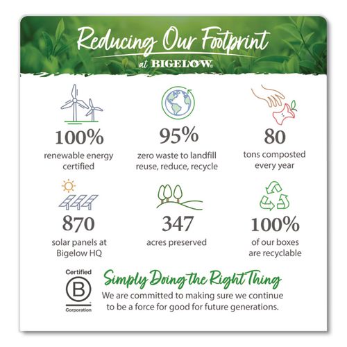 Image of Bigelow® RCB17715 Steep Tea, Dandelion And Peach, 1.18 Oz Tea Bag, 20/box