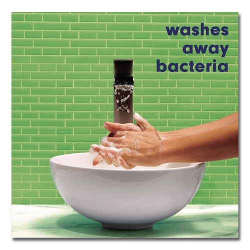 Image of Softsoap® US07326A Antibacterial Hand Soap, Pear Scent, 11.25 oz