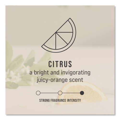 Image of Rubbermaid® Commercial FG402113 CirculAir 90 Passive Air Care Refill, Citrus, 1.62 oz, 6/Carton