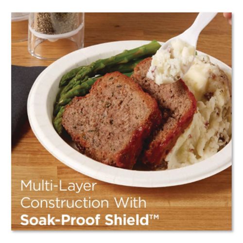 Image of Dixie® UX9WS Pathways Soak-Proof Shield Mediumweight Paper Plates, Wisesize, 8.5" Dia, Green/burgundy, 125/pack