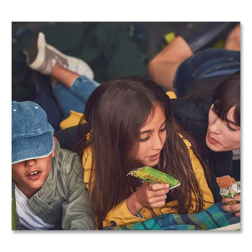 Image of Nature Valley® GEM12942 Granola Bars, Oats And Honey, 1.5 Oz Bar, 49/carton
