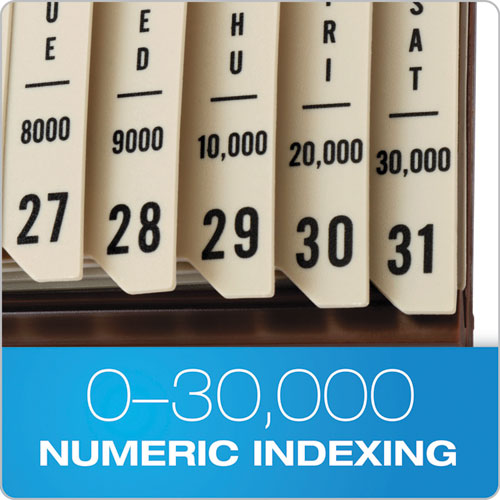 Image of Pendaflex® 40652 General Purpose Indexed Sorter, 31 Dividers, Alpha/Numeric/Month/Date/Day Index, Letter Size, Brown Frame