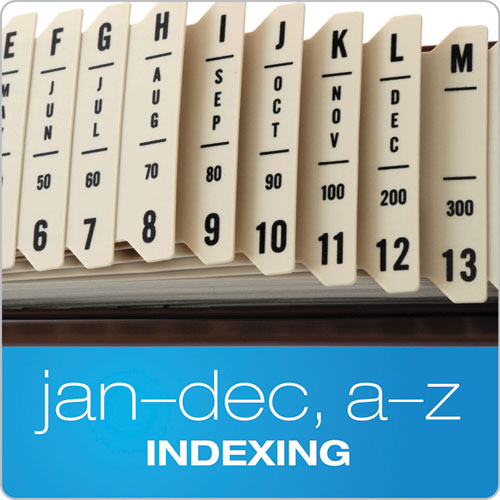 Image of Pendaflex® 40652 General Purpose Indexed Sorter, 31 Dividers, Alpha/Numeric/Month/Date/Day Index, Letter Size, Brown Frame