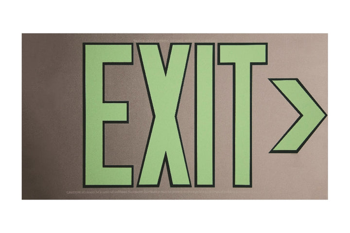 Photoluminescent Exit Sign, One Sided, No Frame/Mount, 15-3/4" x 8-1/2", Silver