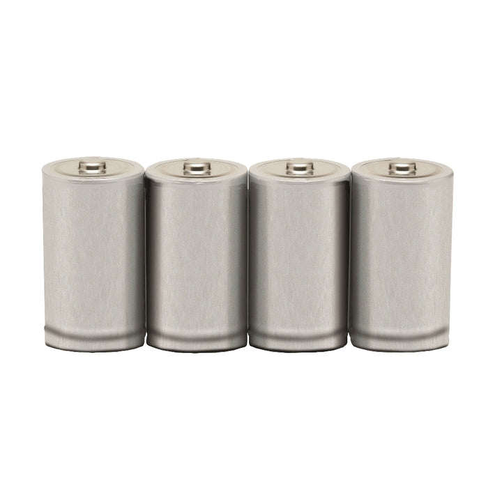 Alkaline Battery, D, 1.5V, Package of 4