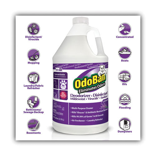 Image of OdoBan® 911162-G4 Concentrate Odor Eliminator And Disinfectant, Lavender Scent, 1 Gal Bottle, 4/carton