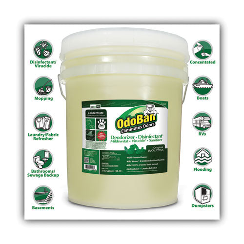 Image of OdoBan® 911062-5G Concentrated Odor Eliminator And Disinfectant, Eucalyptus, 5 Gal Pail