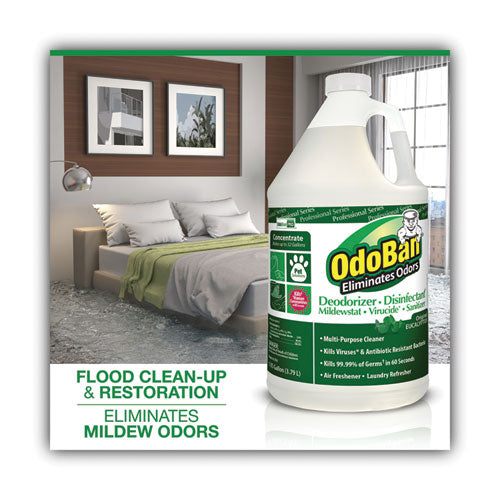 Image of OdoBan® 911062-G4 Concentrated Odor Eliminator, Eucalyptus, 1 Gal Bottle, 4/carton