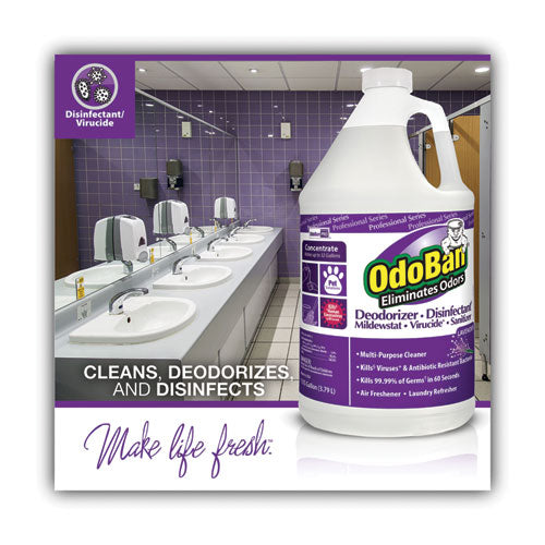 Image of OdoBan® 911162-G4 Concentrate Odor Eliminator And Disinfectant, Lavender Scent, 1 Gal Bottle, 4/carton