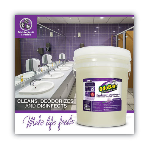 Image of OdoBan® 911162-5G Concentrated Odor Eliminator And Disinfectant, Lavender Scent, 5 Gal Pail