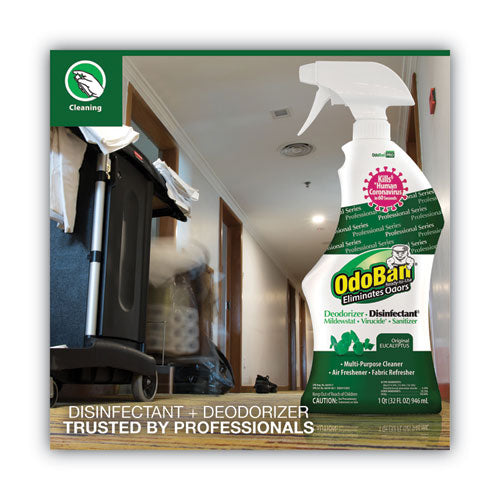Image of Clean Control Corporation Deodorizer/Disinfectant Spray, RTU, 32oz, Eucalyptus, GN