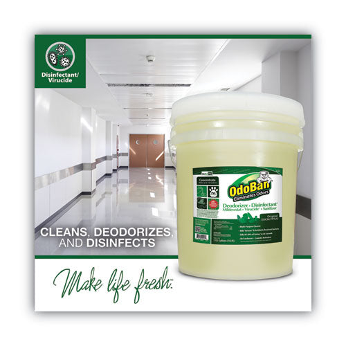Image of OdoBan® 911062-5G Concentrated Odor Eliminator And Disinfectant, Eucalyptus, 5 Gal Pail