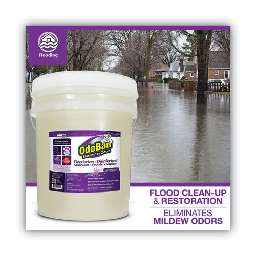 Image of OdoBan® 911162-5G Concentrated Odor Eliminator And Disinfectant, Lavender Scent, 5 Gal Pail