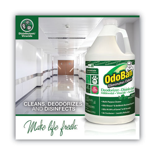 Image of OdoBan® 911062-G4 Concentrated Odor Eliminator, Eucalyptus, 1 Gal Bottle, 4/carton