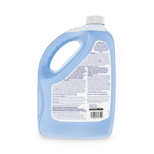 Image of Windex® 696503EA Glass Cleaner With Ammonia-D, 1 Gal Bottle