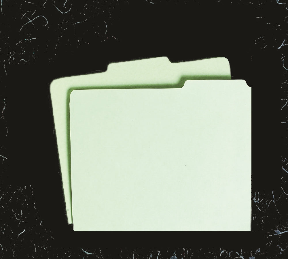 Image of SKILCRAFT® File Guide Card, 1/3 Cut, 1st or 3rd Position, Letter