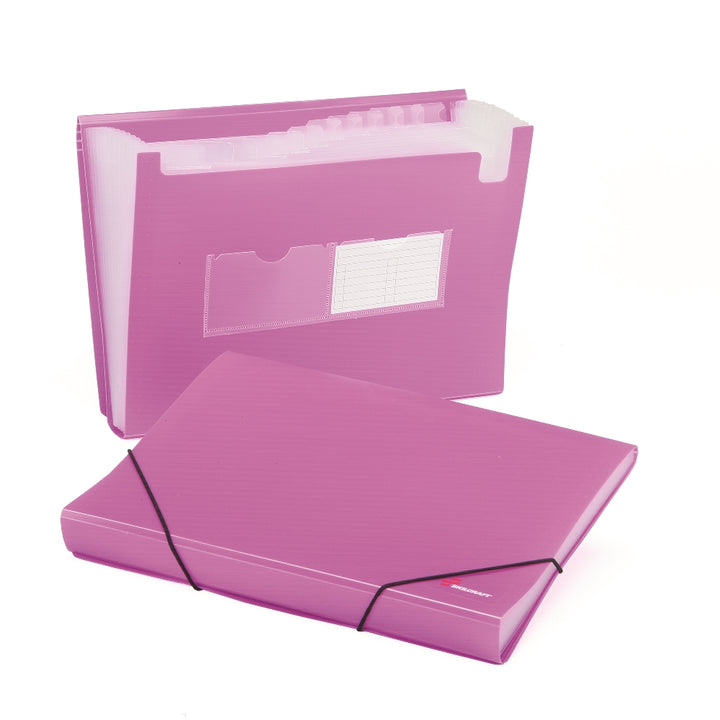 Skilcraft Poly Expanding Storage Files, 12-tab, Purple
