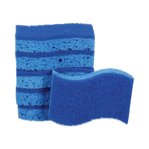 Image of Scotch-Brite® 526-6 Non-Scratch Multi-Purpose Scrub Sponge, 4.4 X 2.6, 0.8" Thick, Blue, 6/pack