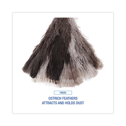 Image of Boardwalk® BWK13FD Professional Ostrich Feather Duster, 7" Wood Handle
