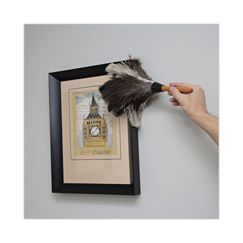 Image of Boardwalk® BWK13FD Professional Ostrich Feather Duster, 7" Wood Handle