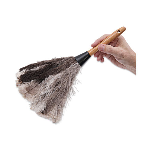 Image of Boardwalk® BWK13FD Professional Ostrich Feather Duster, 7" Wood Handle
