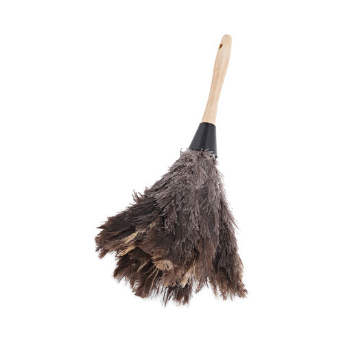 Image of BoardwalkÂ® Professional Ostrich Feather Duster, 6" Wood Handle