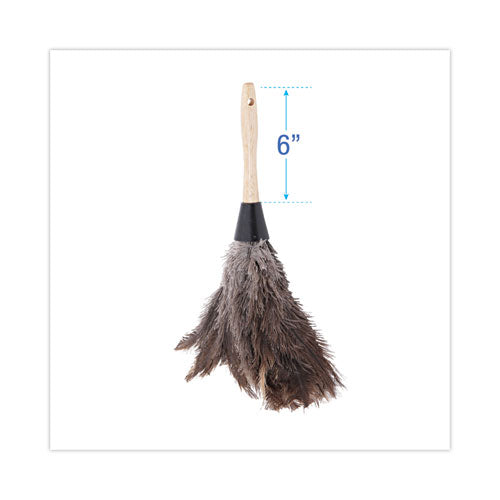 Image of BoardwalkÂ® Professional Ostrich Feather Duster, 6" Wood Handle