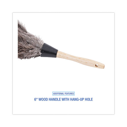 Image of BoardwalkÂ® Professional Ostrich Feather Duster, 6" Wood Handle