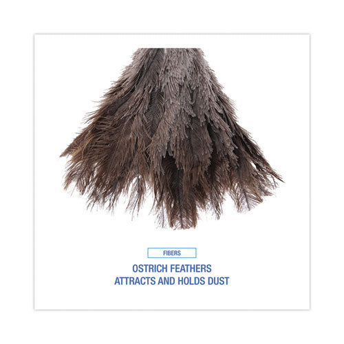 Image of BoardwalkÂ® Professional Ostrich Feather Duster, 6" Wood Handle