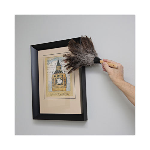 Image of BoardwalkÂ® Professional Ostrich Feather Duster, 6" Wood Handle