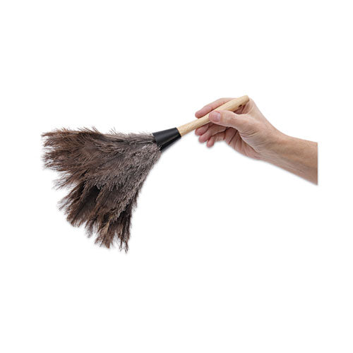 Image of BoardwalkÂ® Professional Ostrich Feather Duster, 6" Wood Handle