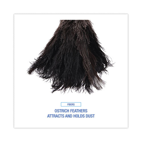Image of Boardwalk® BWK20BK Professional Ostrich Feather Duster, 10" Wood Handle