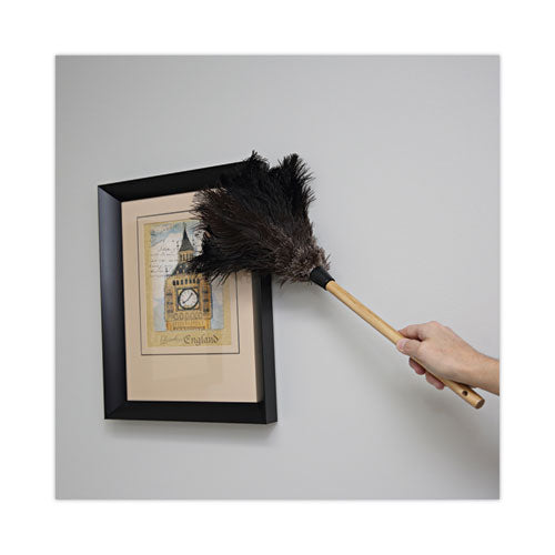 Image of Boardwalk® BWK20BK Professional Ostrich Feather Duster, 10" Wood Handle